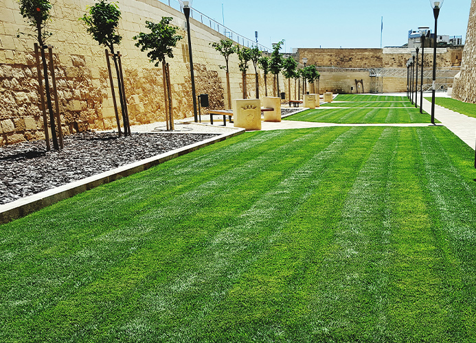 Special & Commercial Areas