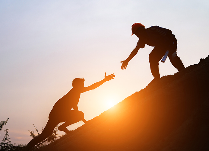 Mentorship & Support