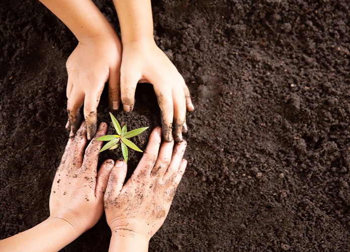 Social Responsibility