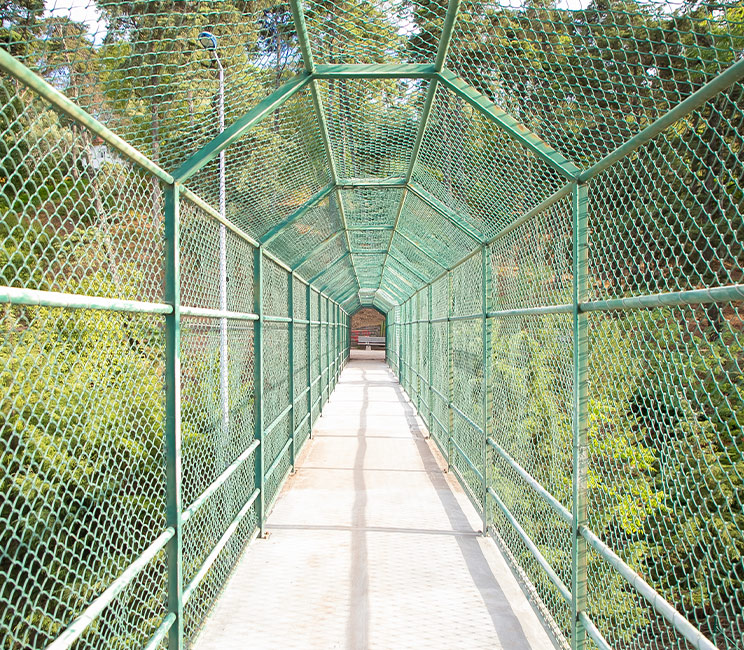 Quality Control and Certification